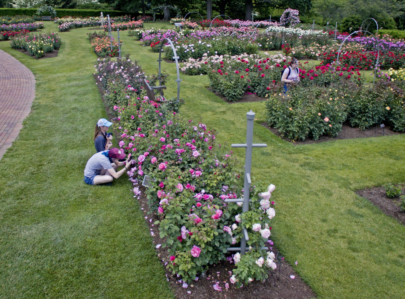 Hershey Gardens roses